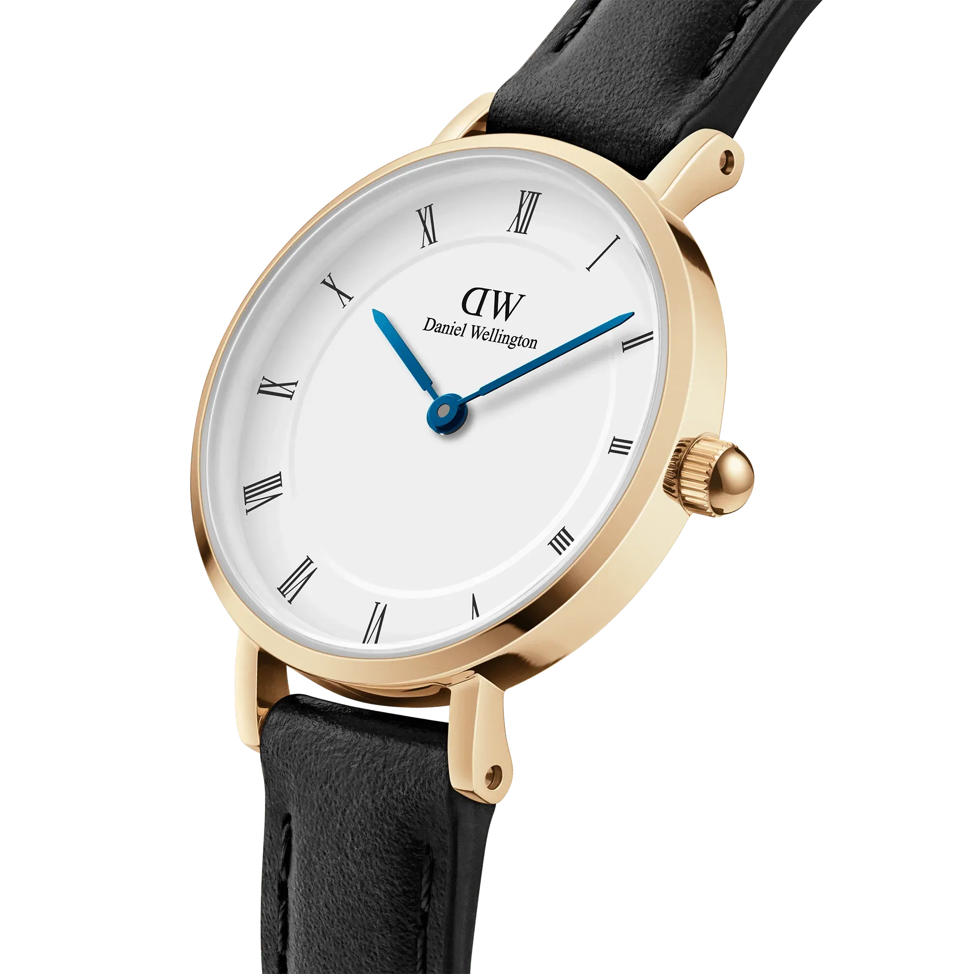 Daniel Wellington - Petite Roman Numerals NS Sheffield Gold