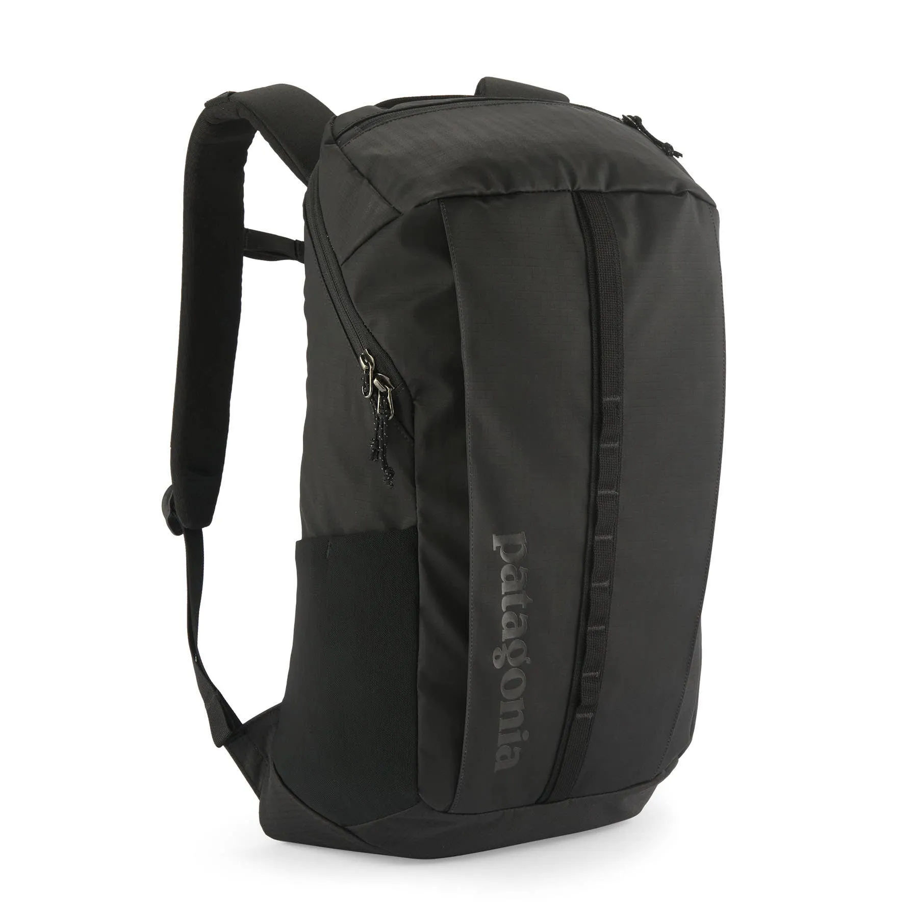 Patagonia Black Hole Pack 25L | Daypacks | BananaFingers