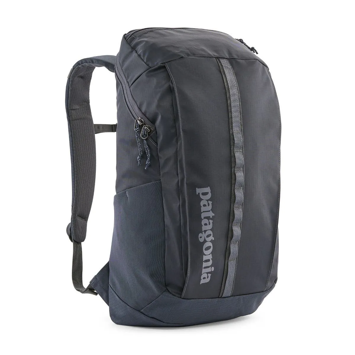 Patagonia Black Hole Pack 25L | Daypacks | BananaFingers