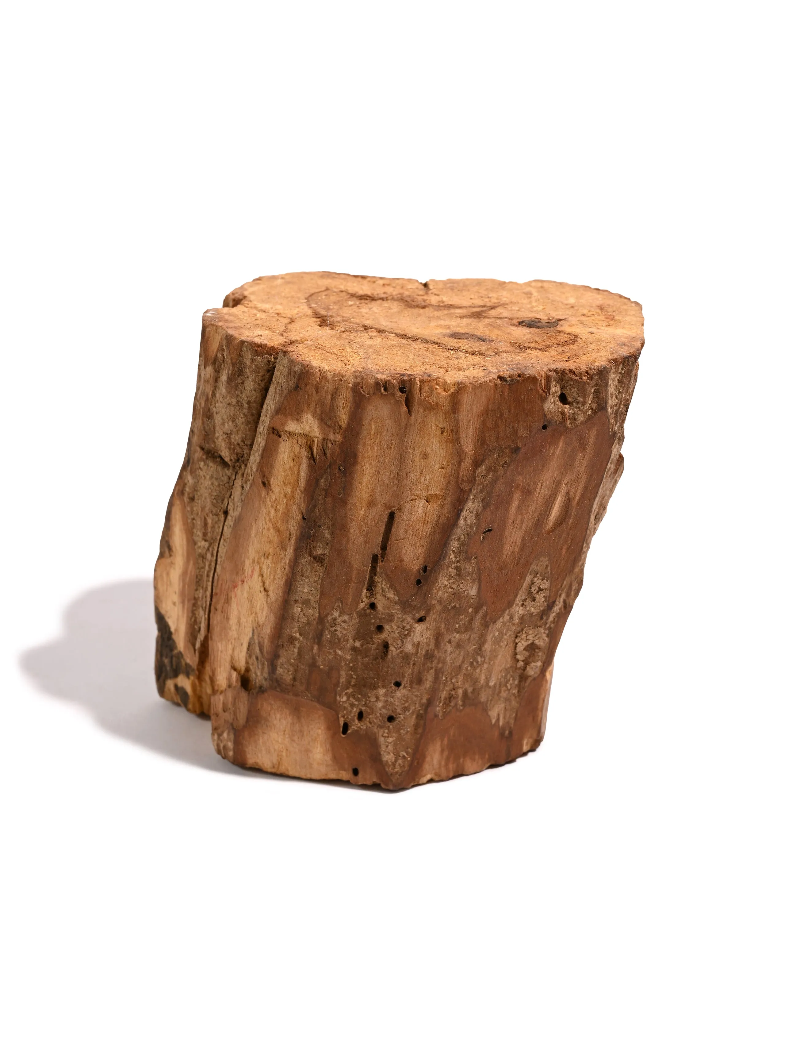 Specimen Pieces Palo Santo - Peru